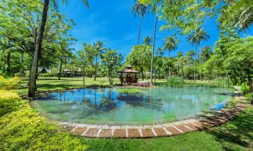 هتل دوآنجیت ریزورت اند اسپا پاتونگ پوکت هتل دوآنجیت ریزورت اند اسپا پاتونگ پوکت